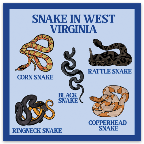 Snakes of WV - Sticker