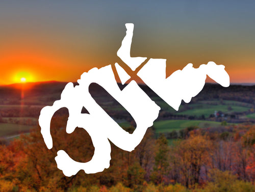 304 Decal - Loving West Virginia (LovingWV)