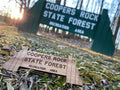 Coopers Rock - State Park Magnet - Loving West Virginia (LovingWV)