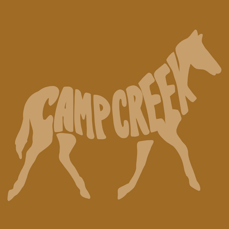 SP-CCE-3 - Camp Creek - State Park Horse