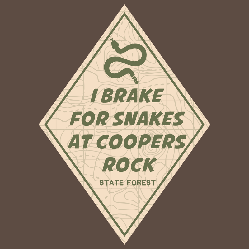 SP-COP-25 - Coopers Rock - Break For Snakes