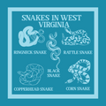 Snakes of WV