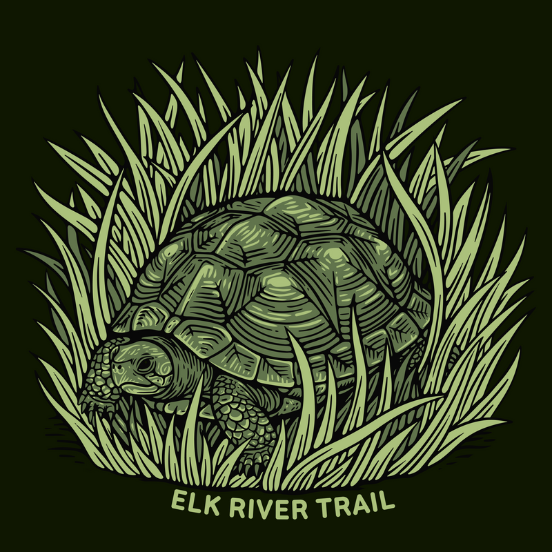 SP-GEN-54 - General - Turtle