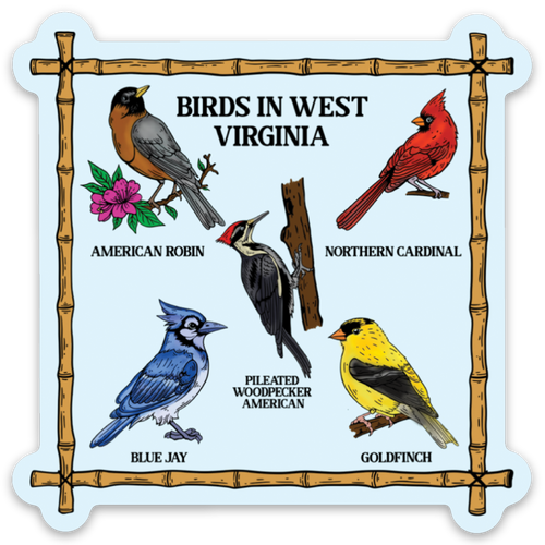 Birds of WV - Sticker