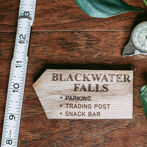 Blackwater Falls - State Park Magnet