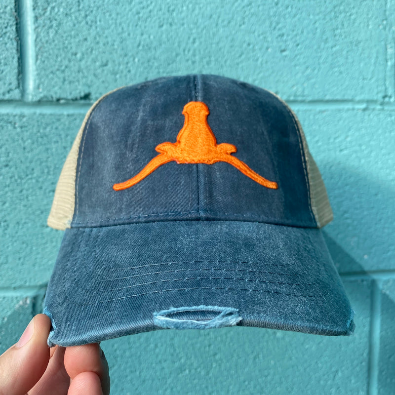 Horn Down Patch Hat